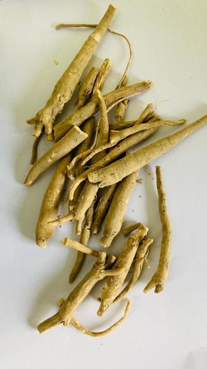 Ashawagandha roots uploaded by Deeksha Collection Spices on 6/20/2021