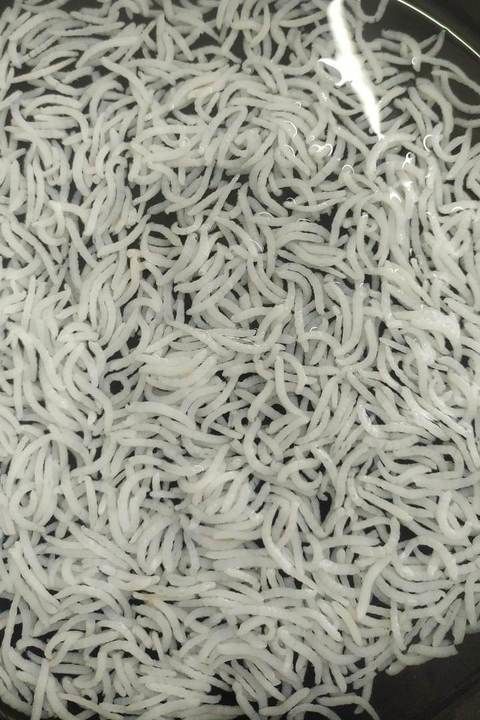 1121 Steam Basmati  uploaded by Deeksha Collection Spices on 6/20/2021