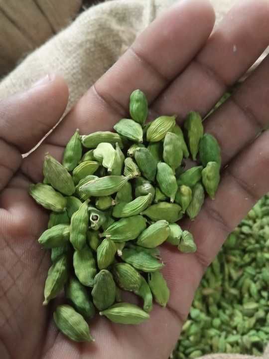 Green Cardamom  uploaded by Deeksha Collection Spices on 6/20/2021