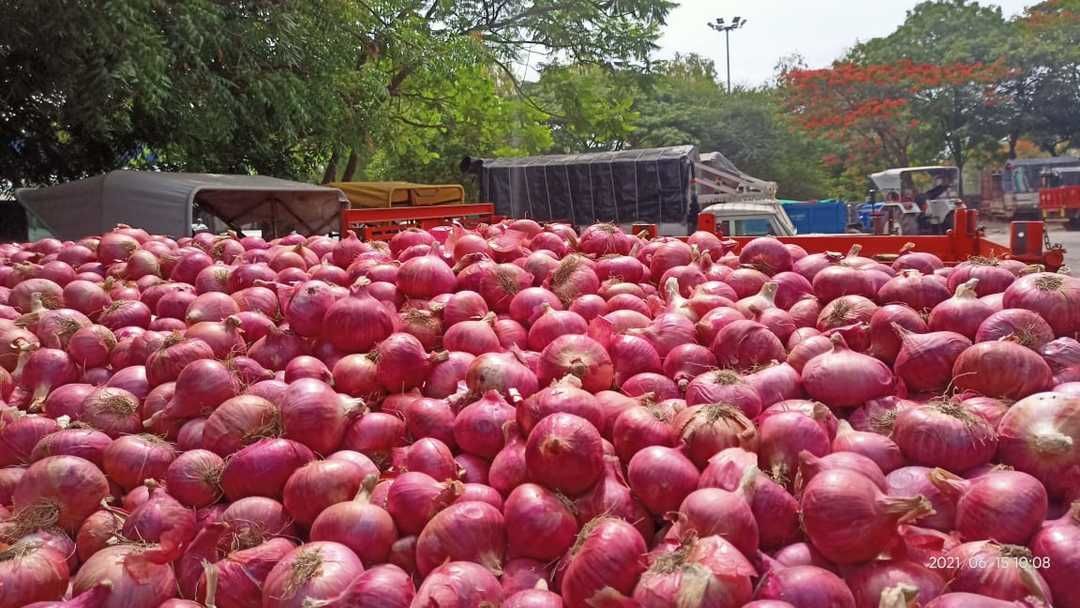 Red Onion uploaded by Deeksha Collection Spices on 6/20/2021