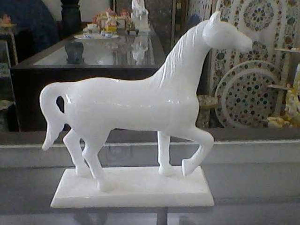 Marbal digain horse uploaded by Nisar Ahmed on 6/21/2021