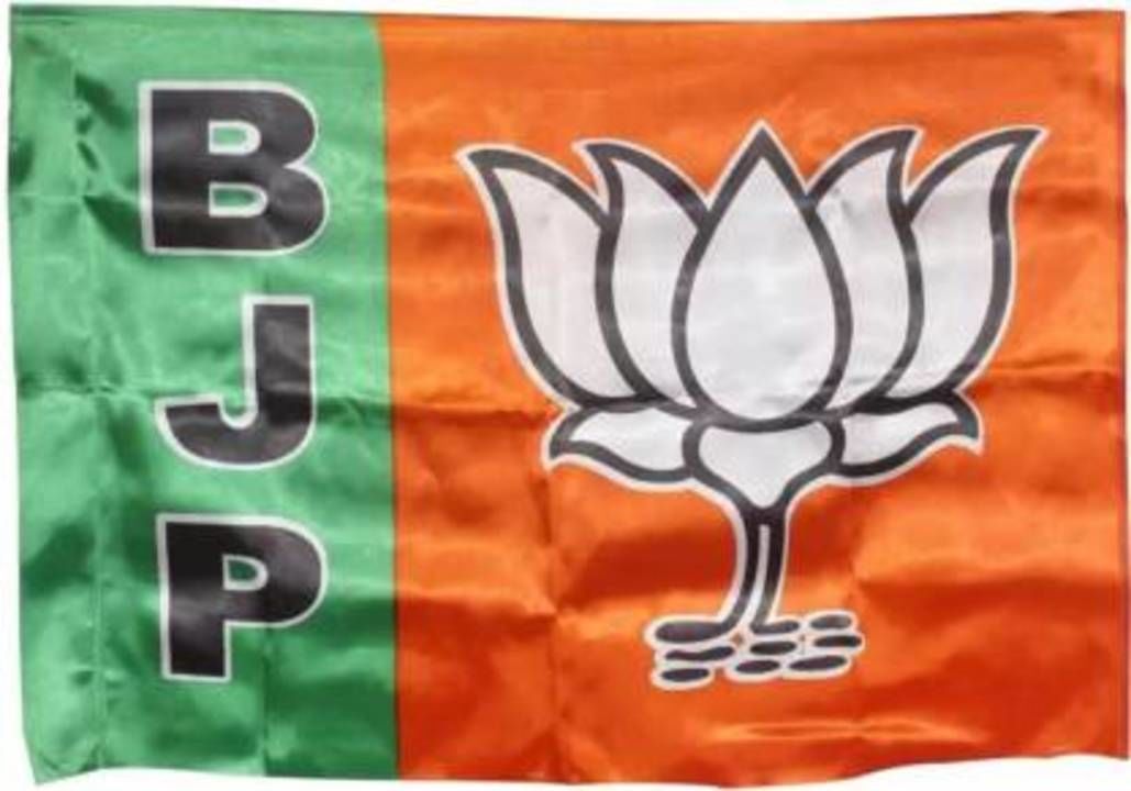 Bjp satin flag uploaded by business on 6/21/2021