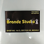 Business logo of The Brandz studio 