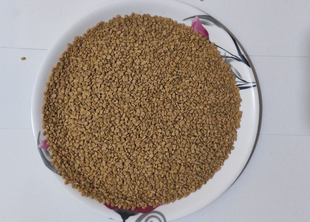 METHI SEEDS uploaded by business on 6/24/2021