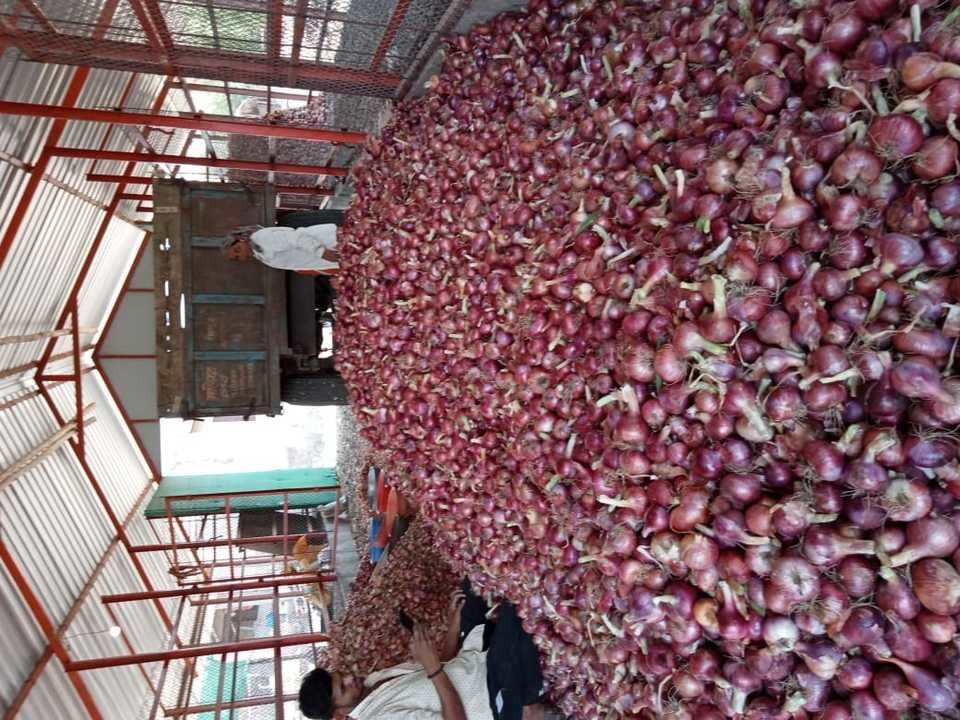 Onion uploaded by Inamdar Trades on 6/25/2021