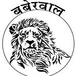 Business logo of Baberwal & baberwal 