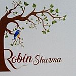 Business logo of Robindesigns
