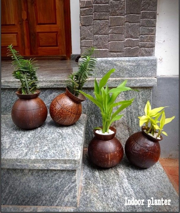 Coconut shell pot uploaded by business on 6/26/2021