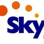 Business logo of Sky telecom