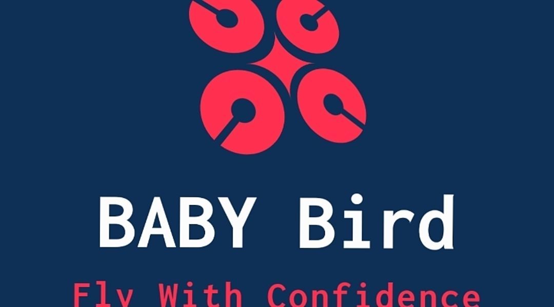 Baby Bird Enterprise 
