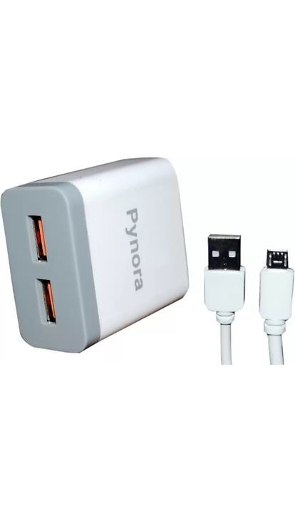  doul fast charger uploaded by business on 6/28/2021