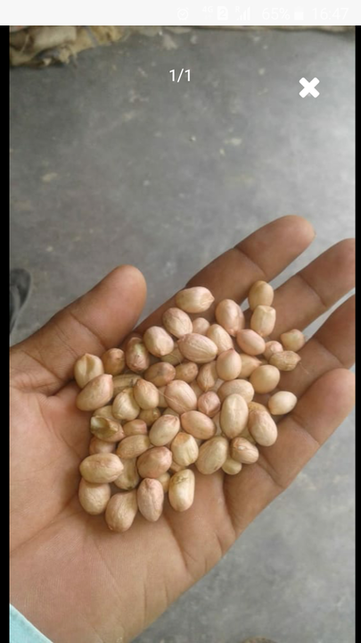 Post image Anybody who want Badam Peanut at wholesale price in large scale.please contact 8697536834