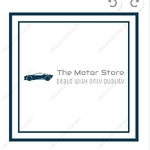 Business logo of The Motor Store