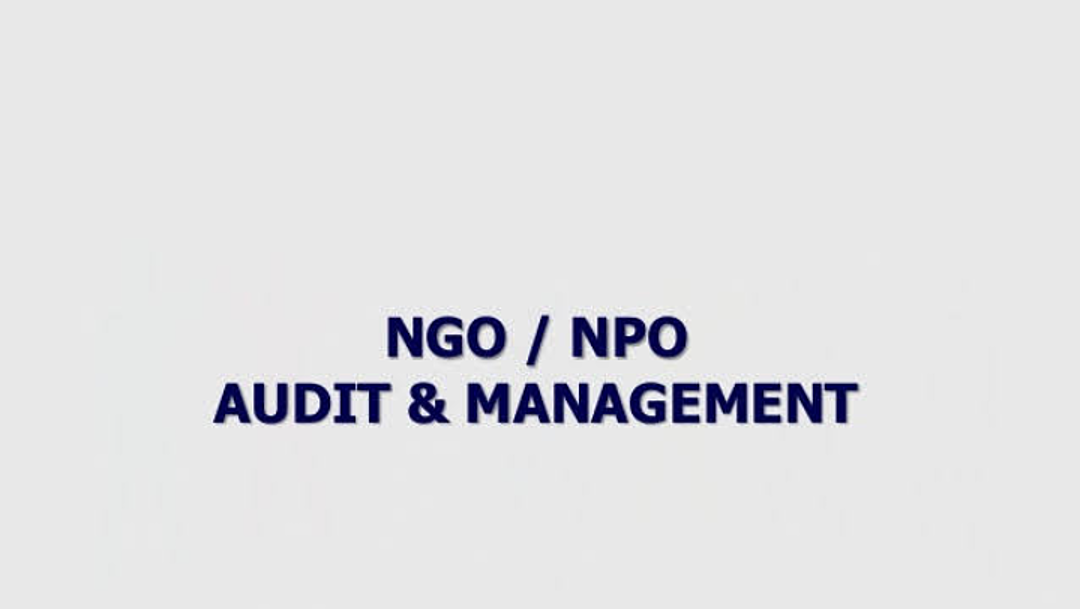 Ngo Audit uploaded by business on 8/18/2020