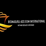 Business logo of Biswaguru AGS-Exim International 