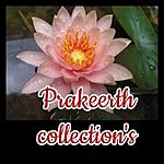 Business logo of Prakeerth collections 