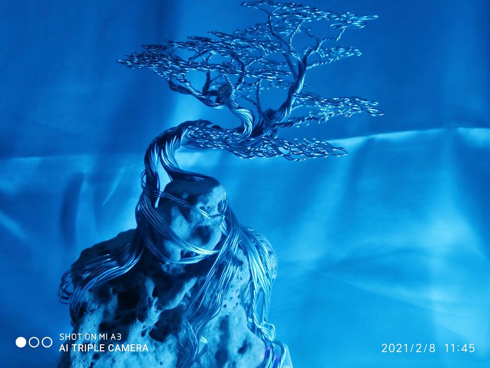 rock bonsai uploaded by Metal Bonsai on 7/12/2021