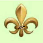 Business logo of SFC decor