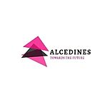 Business logo of Alcedines Private Limited 