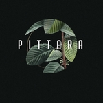 Business logo of Pittara