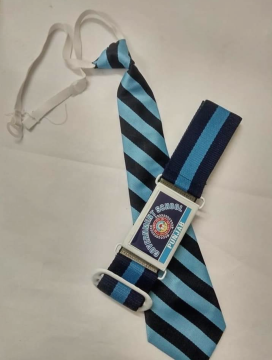 Government school tie & belt uploaded by business on 7/17/2021