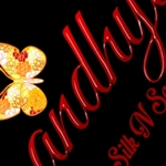 Business logo of Sandhya's store(all variety availa)