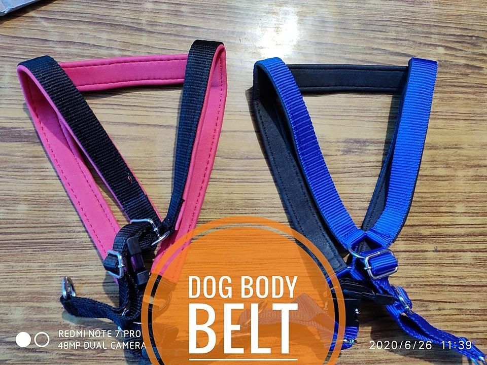 Dog body belt uploaded by Pawan Kumar Vinod Kumar on 8/23/2020