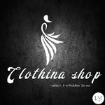 Business logo of Clothina shop