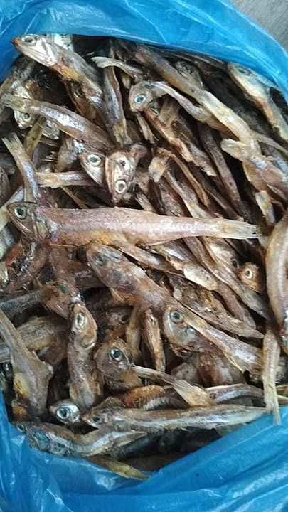 Dry fish  uploaded by business on 8/24/2020