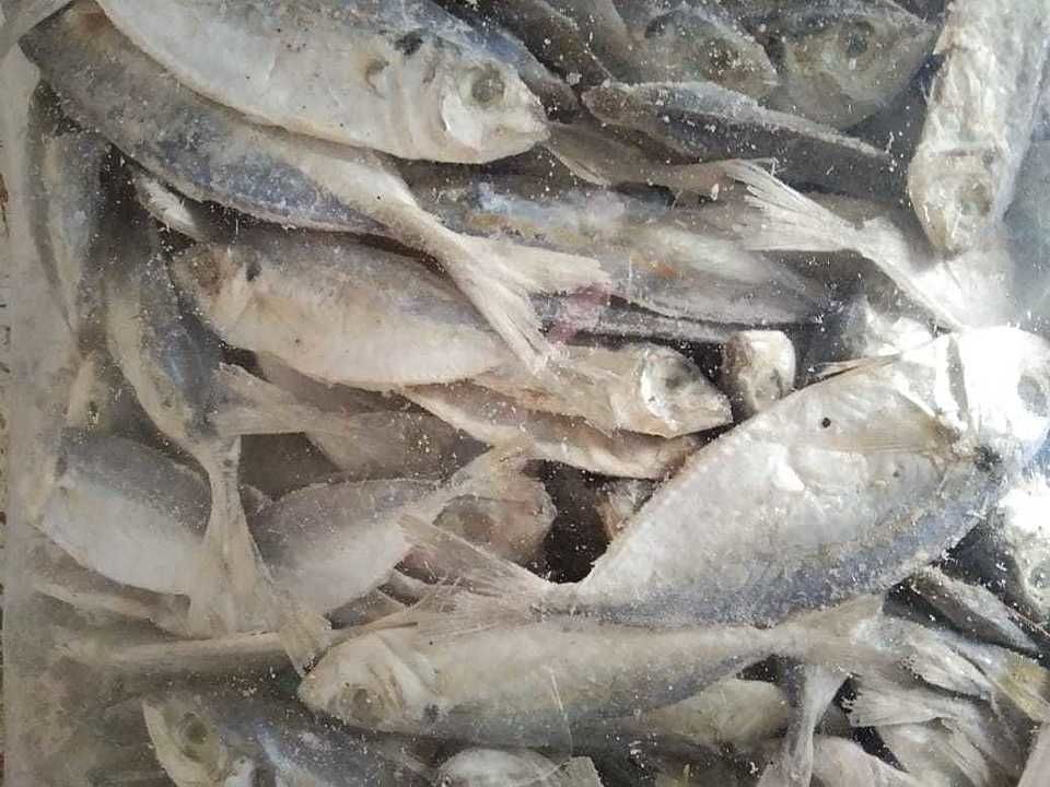 Dry fish  uploaded by business on 8/24/2020