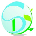 Business logo of SD sarees