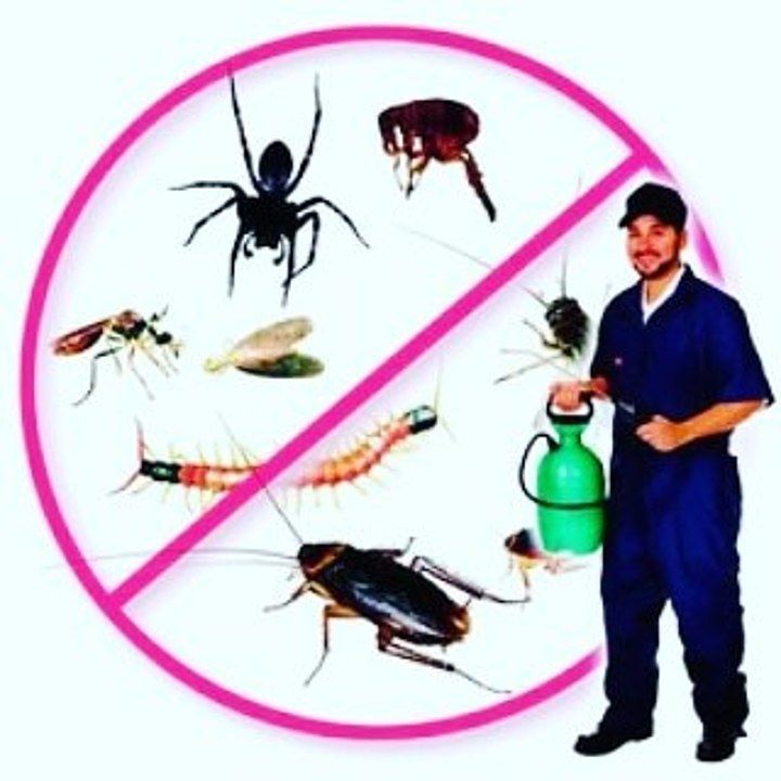 Pest control service uploaded by Peerbaba Agrochemicals on 8/25/2020