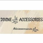 Business logo of The Divine Accessories