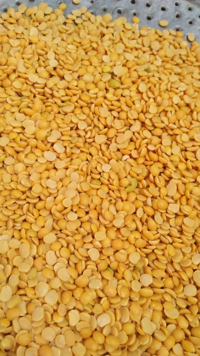 Pulses uploaded by business on 7/27/2021