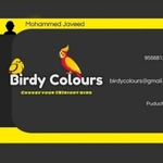 Business logo of BIRDY COLOURS PY