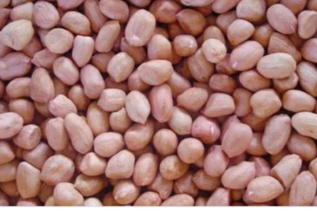 Groundnut seeds uploaded by business on 7/28/2021