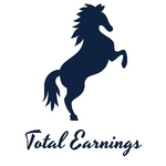 Business logo of Total earnings