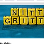 Business logo of Nitty Gritty