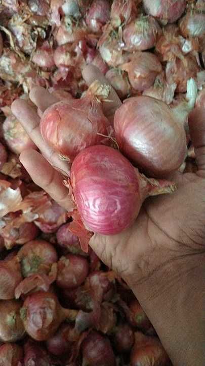 Nasik onion uploaded by Tha vegetables center on 8/27/2020