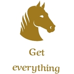 Business logo of Get everything