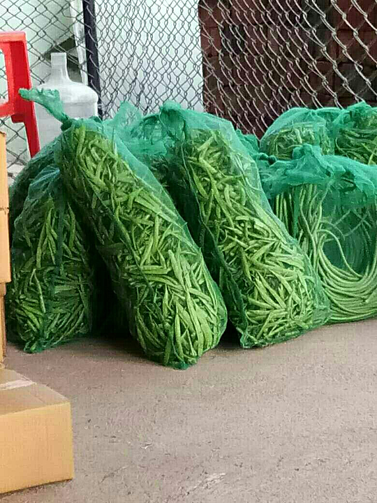 Export vegetable bag uploaded by Prakash fabrics on 8/28/2020