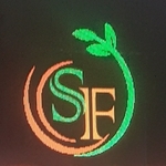 Business logo of Shubankari fashion