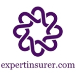 Business logo of expertinsurer