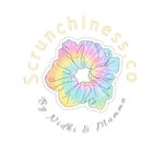 Business logo of Scrunchinesss
