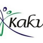Business logo of Kaku Online Trade