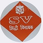 Business logo of S V Infotech