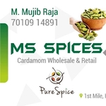 Business logo of Ms spices