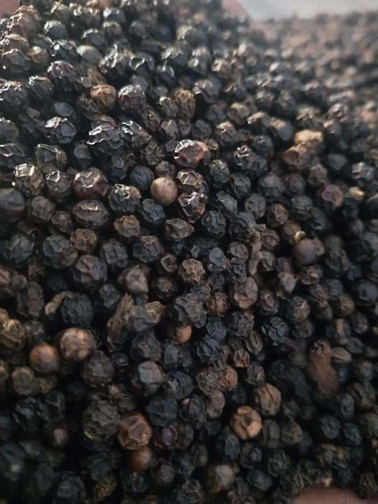 Black pepper bold size uploaded by Ms spices on 8/10/2021