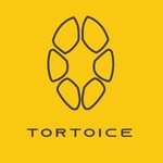 Business logo of TORTOICE based out of Kannur