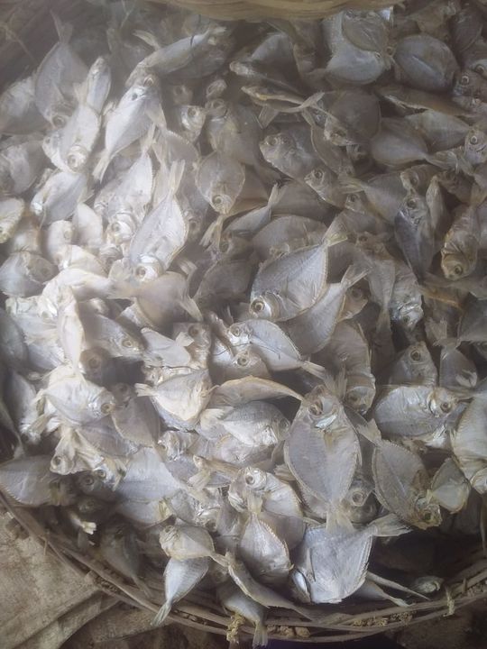 Kaarai dry fish  uploaded by business on 8/15/2021